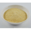 Dehydrated Yellow Onion Powder